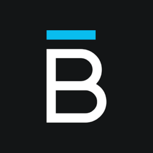 Logo Bridge Money